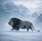 Aslan