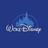 WokeDisney