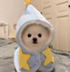 wizdog logo