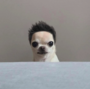 dwh