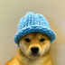 dogwifhat2 logo