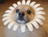 BOB