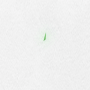 GREENCHIP