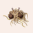 FSM