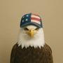 Eaglewif