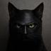 mask cat logo