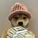 Dog wif money logo