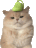 crocat