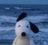 doug