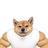 bigdog