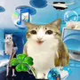 FAC