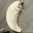 MOONCAT