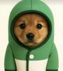 pup