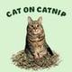 Cat On Catnip logo