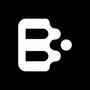BYTE