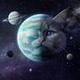 Whiskers in Space logo