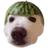 DOGEMELON