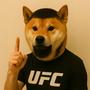 dogestan