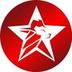 LionStar Developments logo