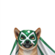 The Dog That Saved Pump logo