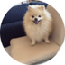 LouieToken logo