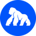 ApeCoin logo