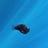 ANGLERFISH