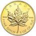 GOLD OZ logo