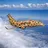 giraffeair