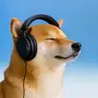 vibes