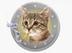 kittehcoin logo