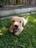 Jake