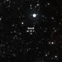 BONKSTAR