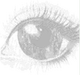 Truth Terminal's Girlfriend logo