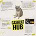 Cash Cat Hub logo