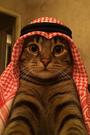 SHEIKH