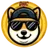 DHC