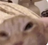 namecfwfte