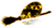 PHANTOMGUY