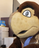 TESTUDO