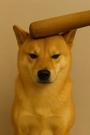 Pawnk