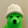 pilldog