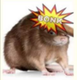 4Chan Bonk Rat logo