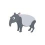 TAPIR