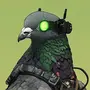 pjon