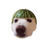 DOGEMELON