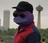 rahil