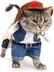 Cowboy Cat logo
