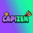 CAPI