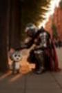 KNIGHTCAT